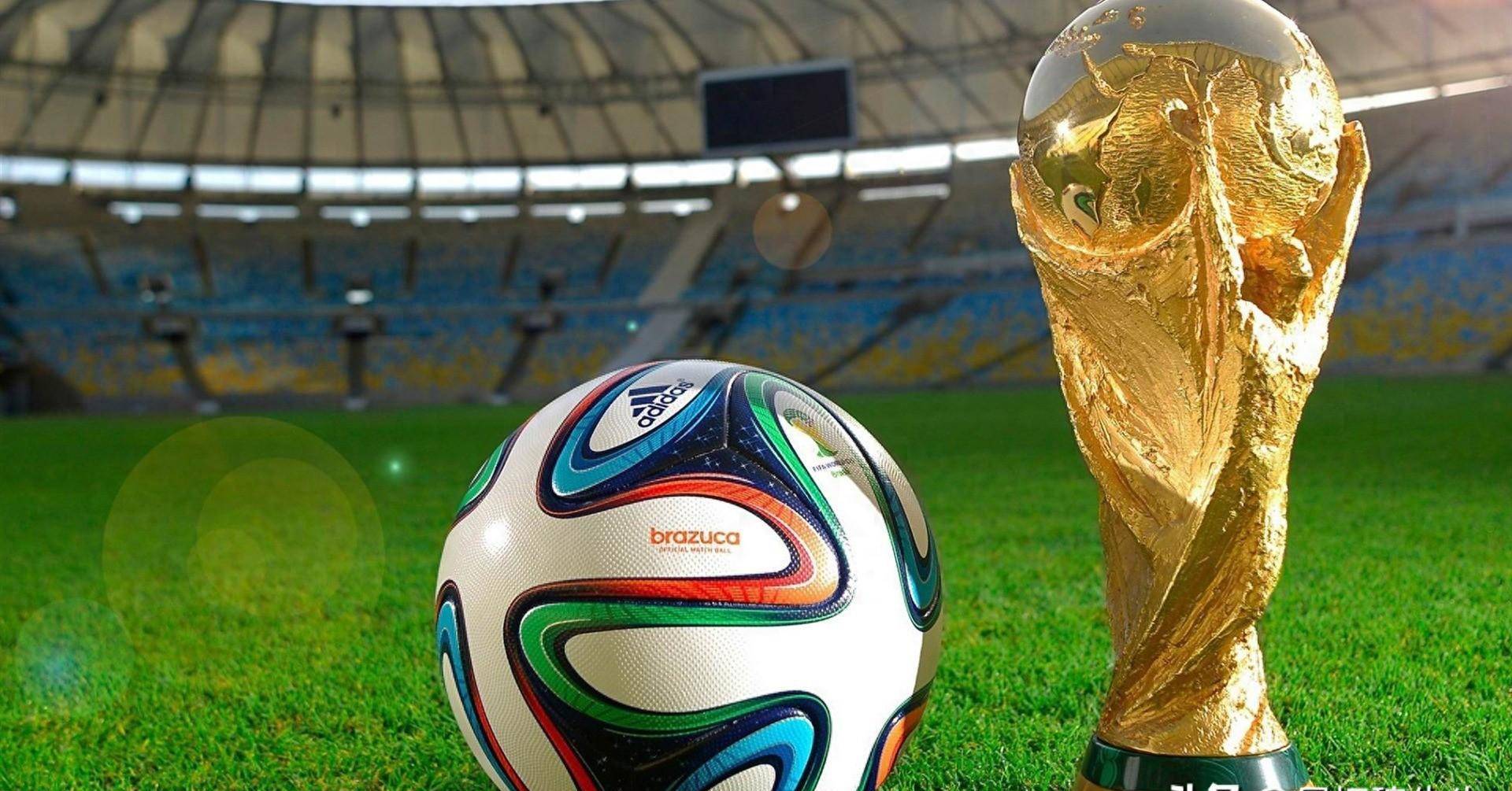 还被许多篮 还被许多篮