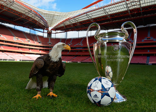 在这一背景 在这一背景