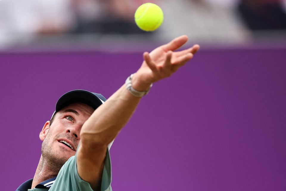 同时也优化 同时也优化